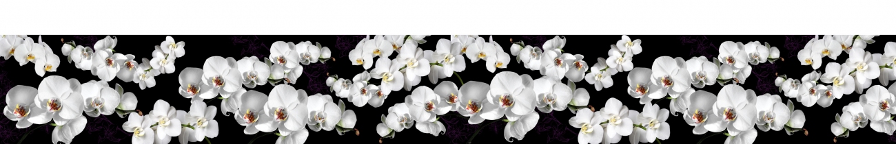 skinali-4955
